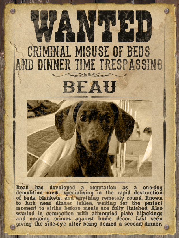 Most WANTED Pet Poster