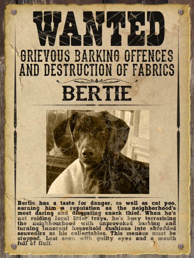 Most WANTED Pet Poster