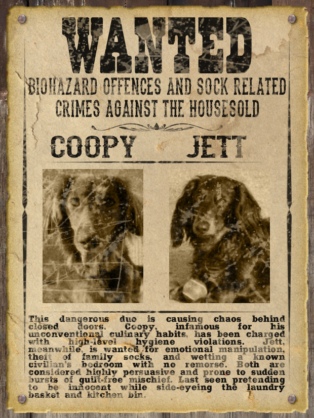 Most WANTED Pet Poster