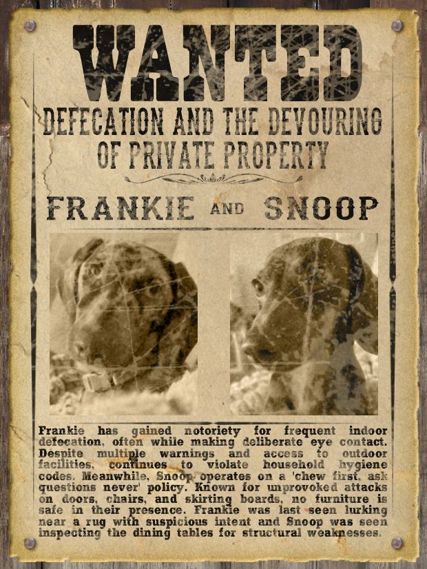 Most WANTED Pet Poster