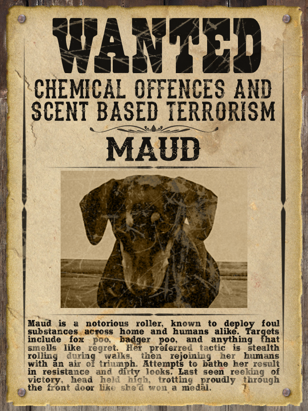 Most WANTED Pet Poster