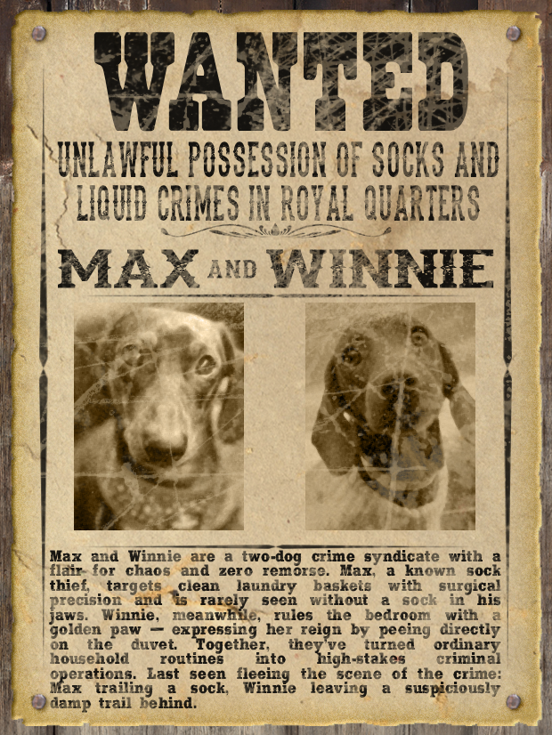 Most WANTED Pet Poster