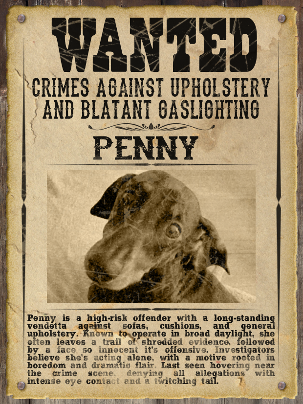 Most WANTED Pet Poster