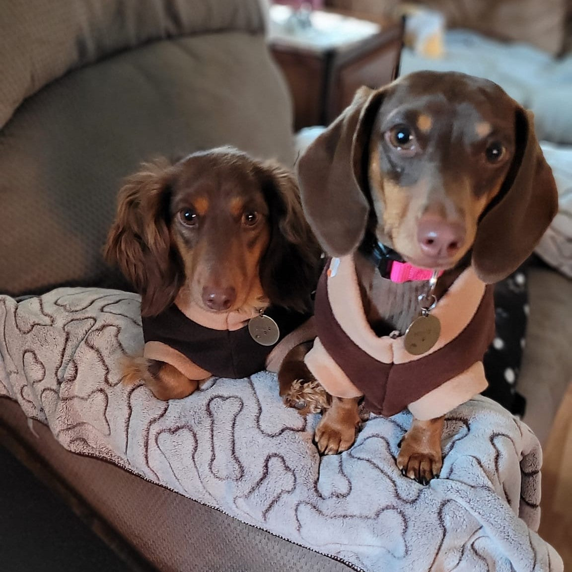 Dachshund Fleece Jumper