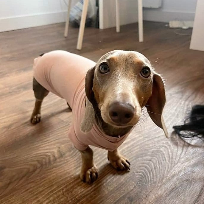 Bamboo Anti-Allergy and Cooling Dachshund T-Shirt