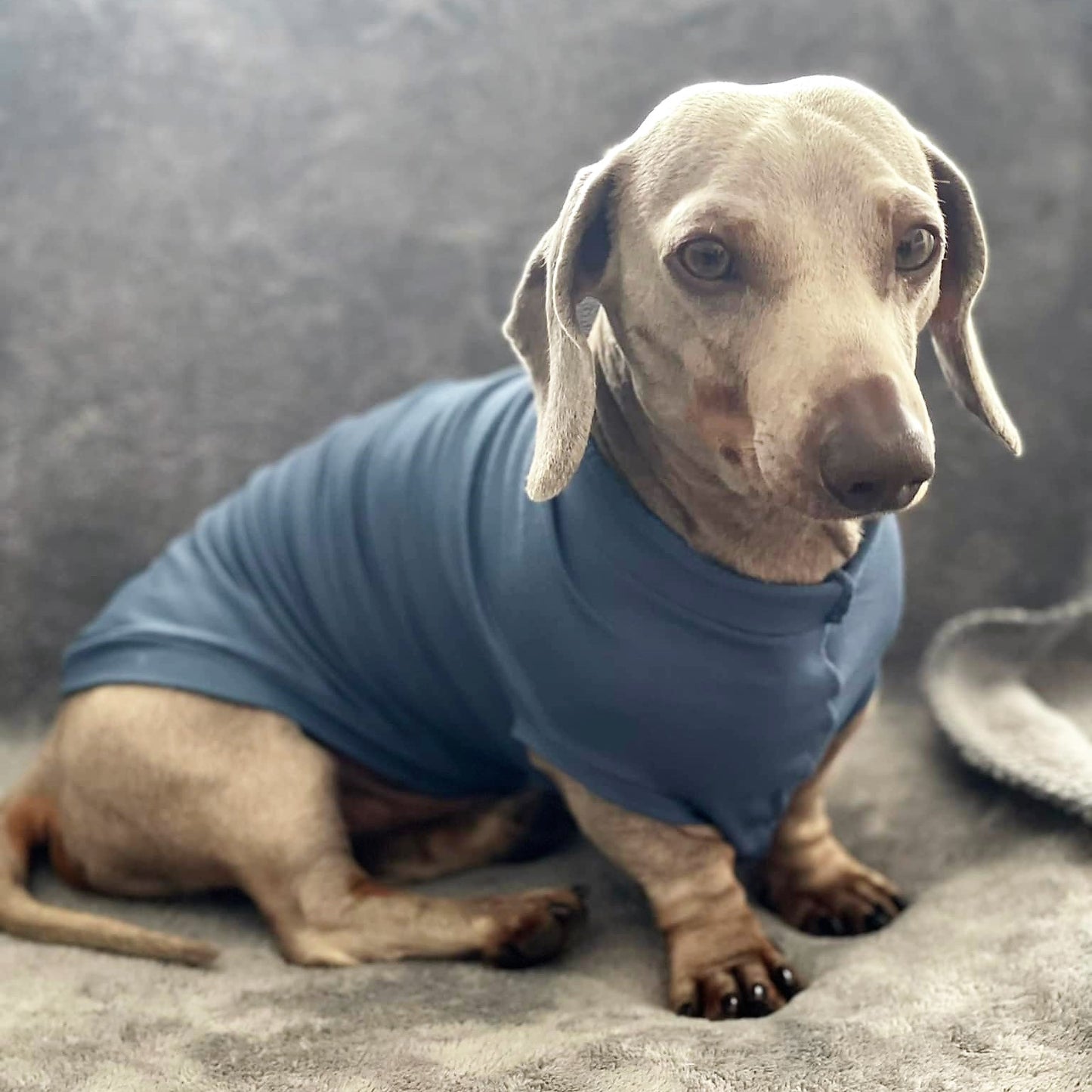 Bamboo Anti-Allergy and Cooling Dachshund T-Shirt
