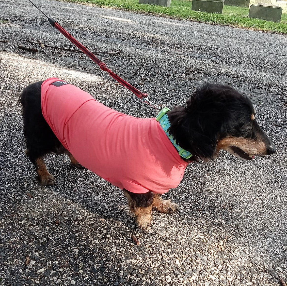 Bamboo Anti-Allergy and Cooling Dachshund T-Shirt