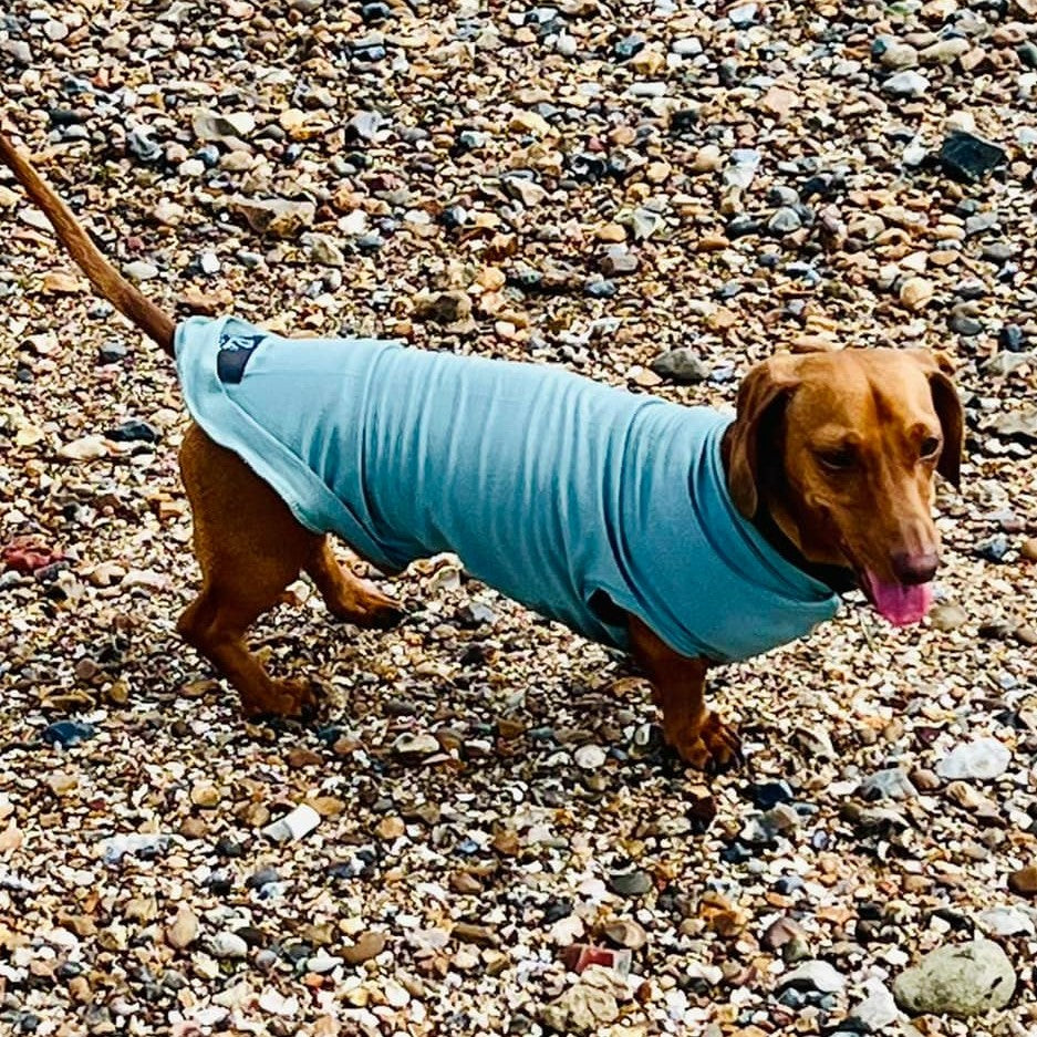 Bamboo Anti-Allergy and Cooling Dachshund T-Shirt