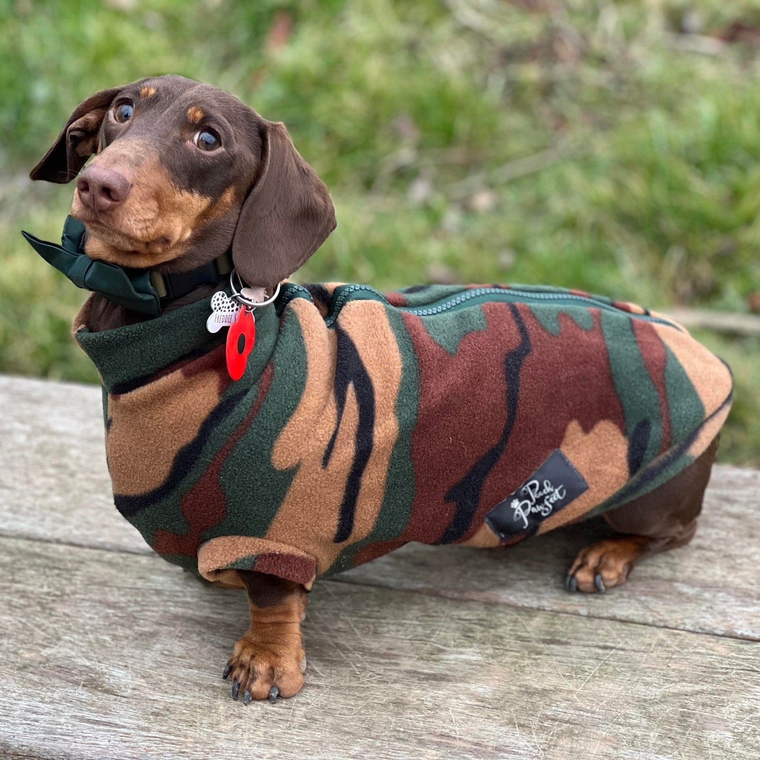 Dachshund Cheap Dog Jumper Frozen Blue Luxury Cable Knit Dachshund