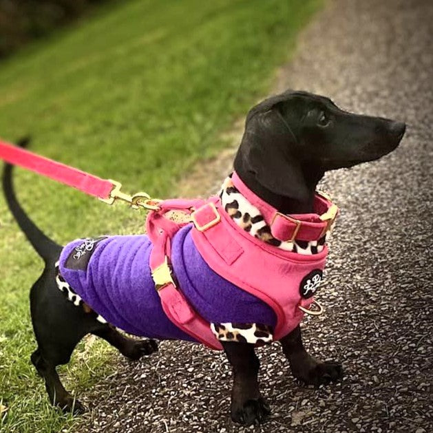 Luxury Velvet Harness