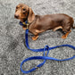 Luxury Velvet Lead