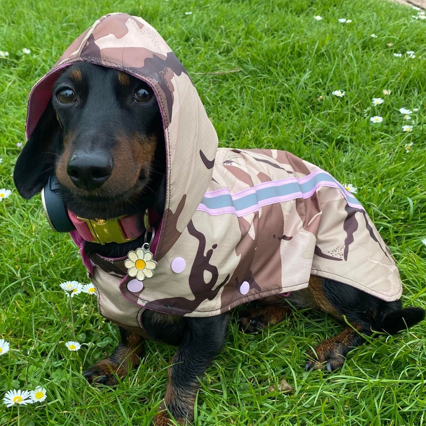 Bamboo Dachshund Summer Anorak