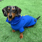 Spring/ Autumn Dachshund Rainjacket