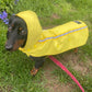 Bamboo Dachshund Summer Anorak