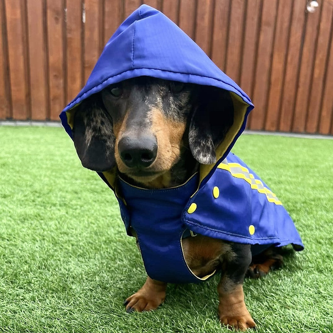 Bamboo Dachshund Summer Anorak – Pooch Pawfect