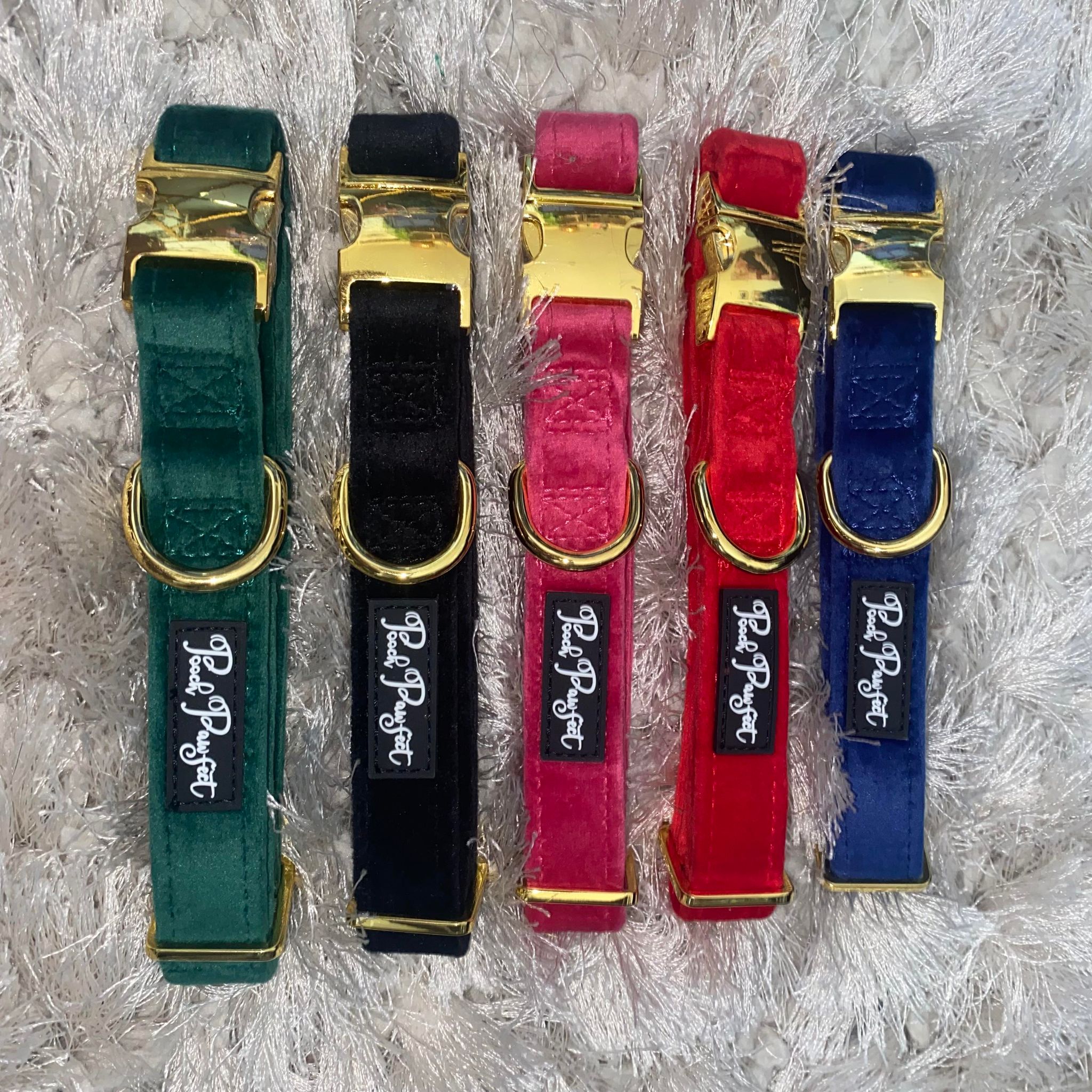 Luxury Velvet Collar – Pooch Pawfect