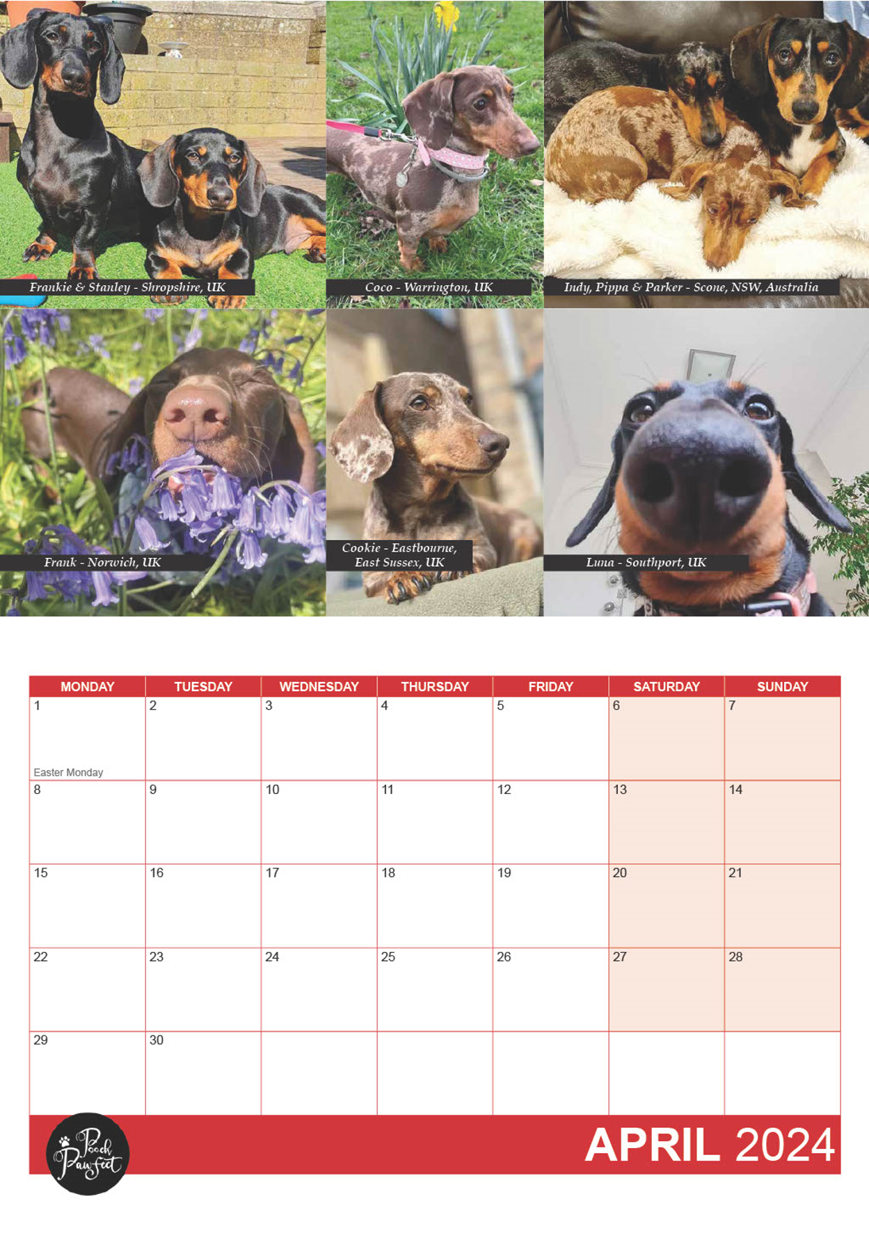 Dachshund Calendar 2024