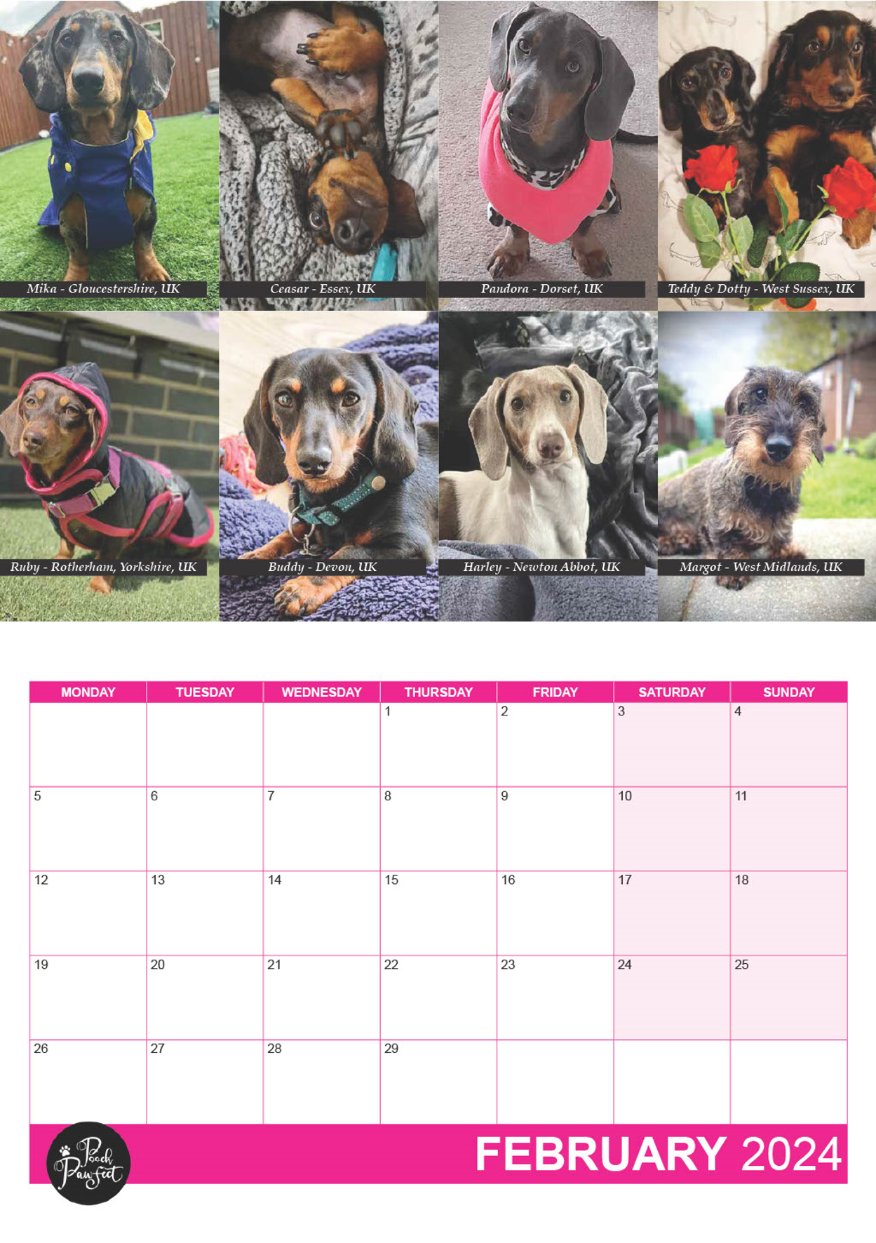 Dachshund Calendar 2024