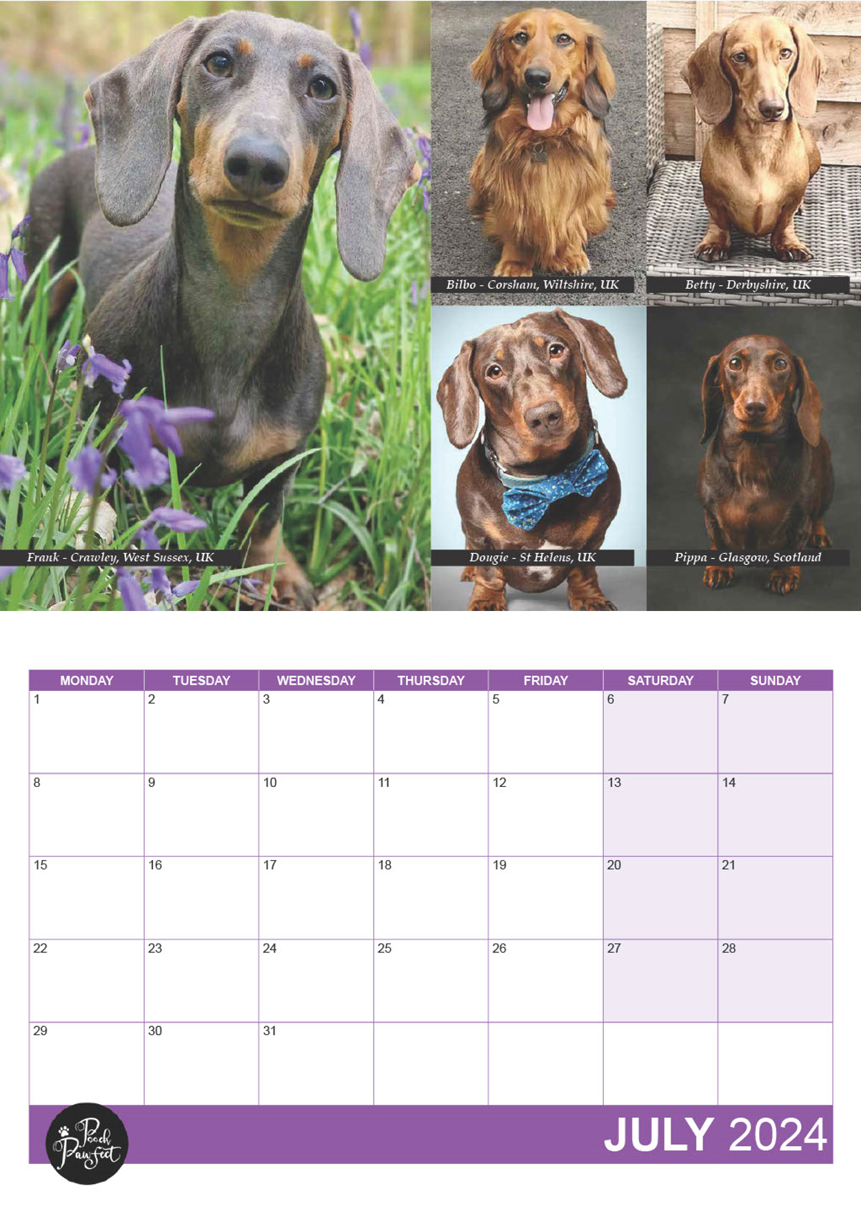 Dachshund Calendar 2024