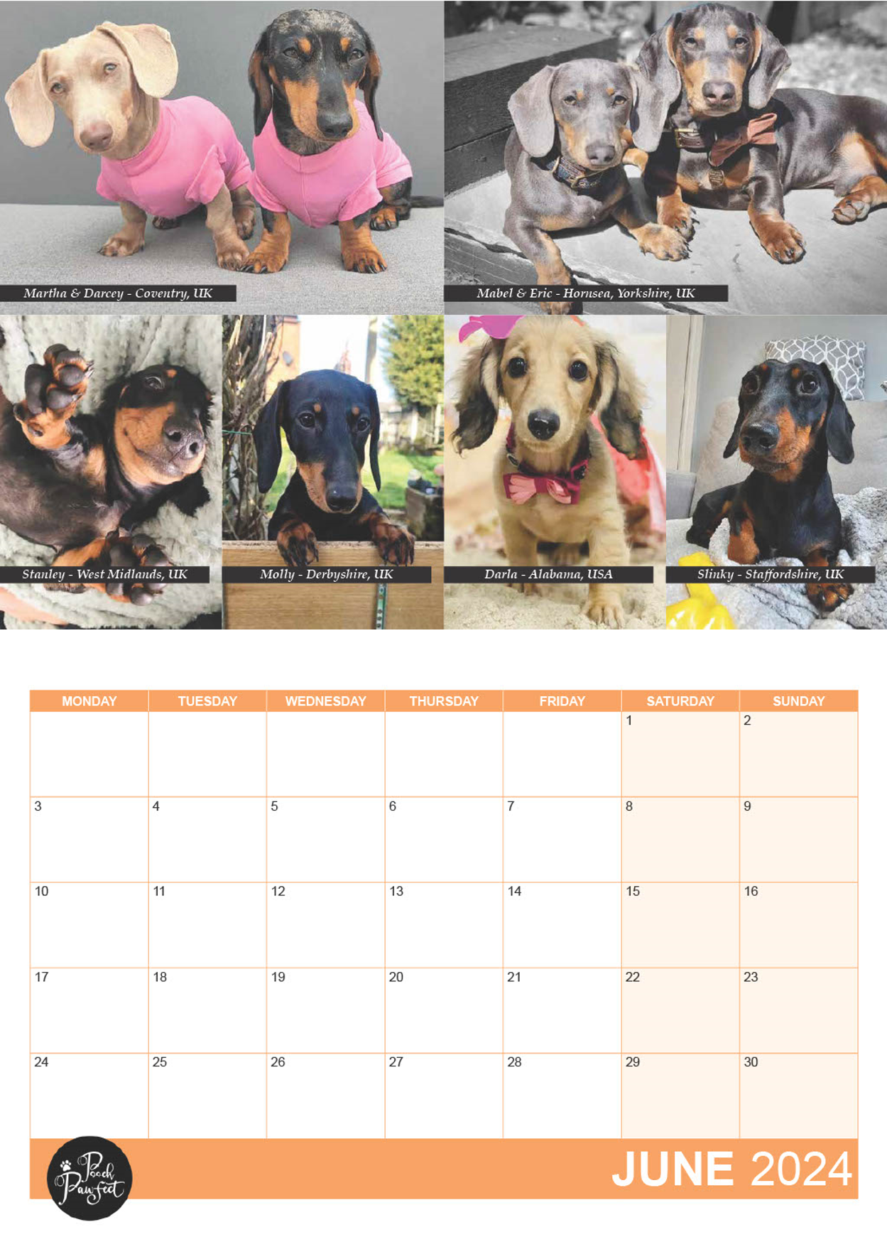 Dachshund Calendar 2024