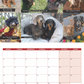 Dachshund Calendar 2024