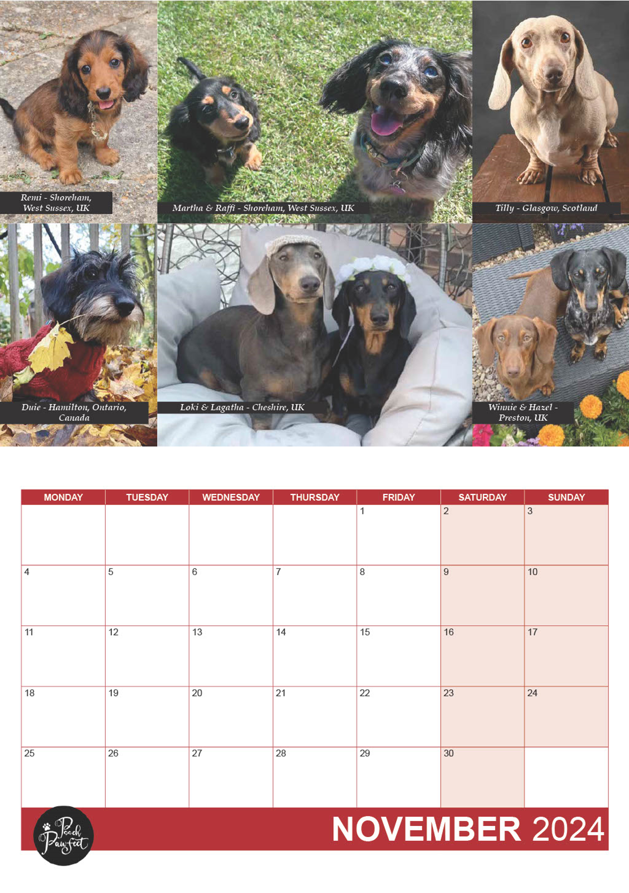 Dachshund Calendar 2024