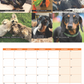 Dachshund Calendar 2024