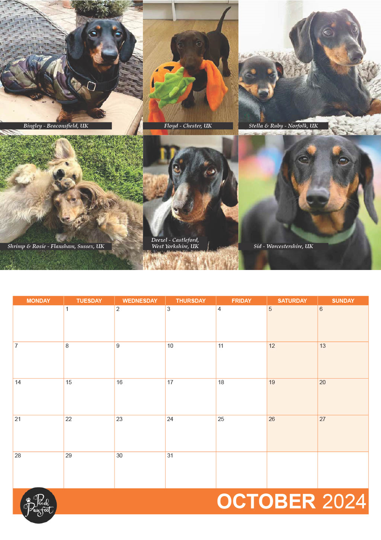 Dachshund Calendar 2024