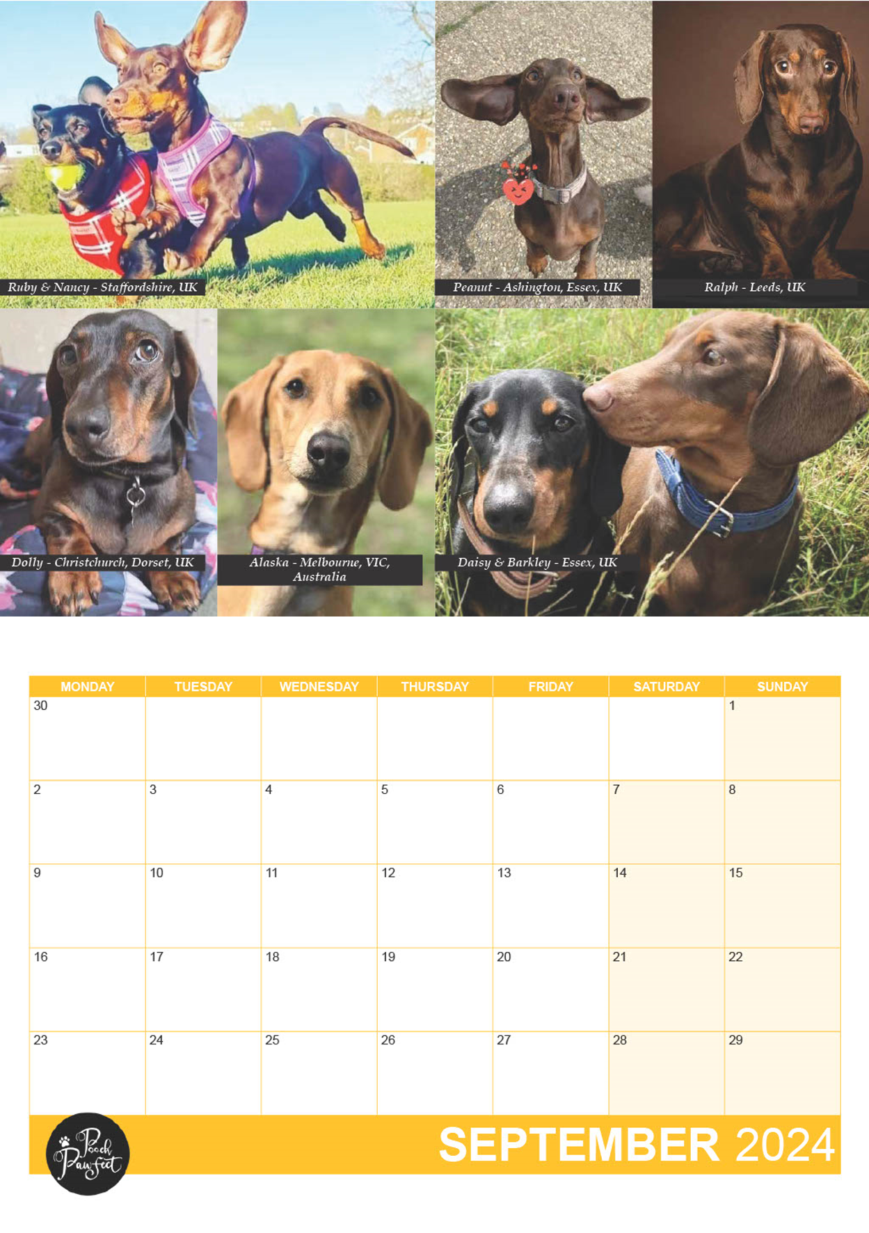 Dachshund Calendar 2024