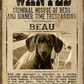 Most WANTED Pet Poster