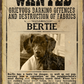Most WANTED Pet Poster