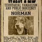 Most WANTED Pet Poster