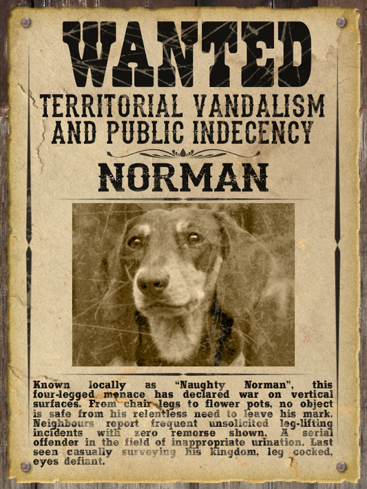 Most WANTED Pet Poster