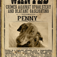 Most WANTED Pet Poster