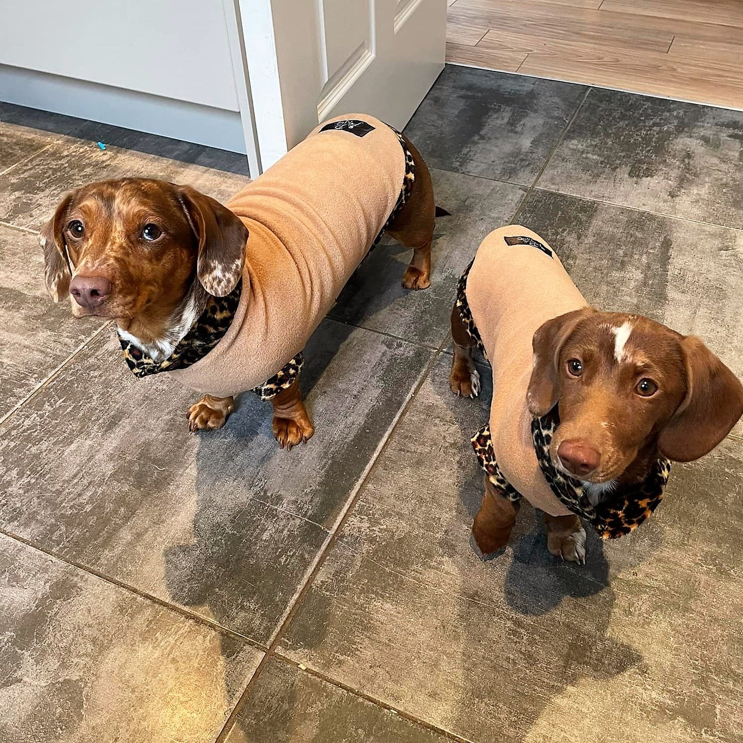 Leopard Print Trim Dachshund Fleece Jumper