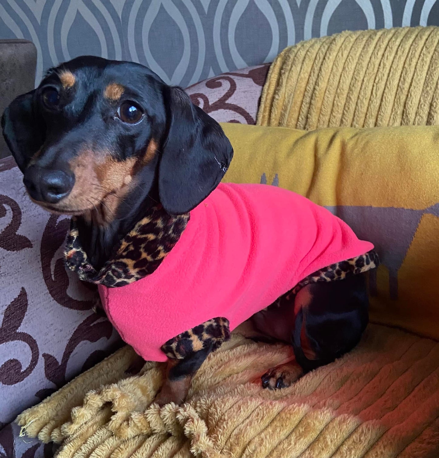 Leopard Print Trim Dachshund Fleece Jumper