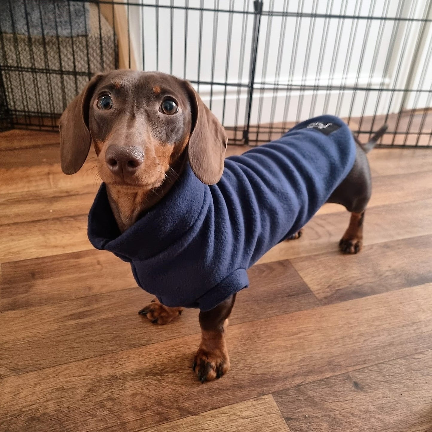 Dachshund Fleece Jumper