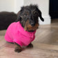 Dachshund Fleece Jumper