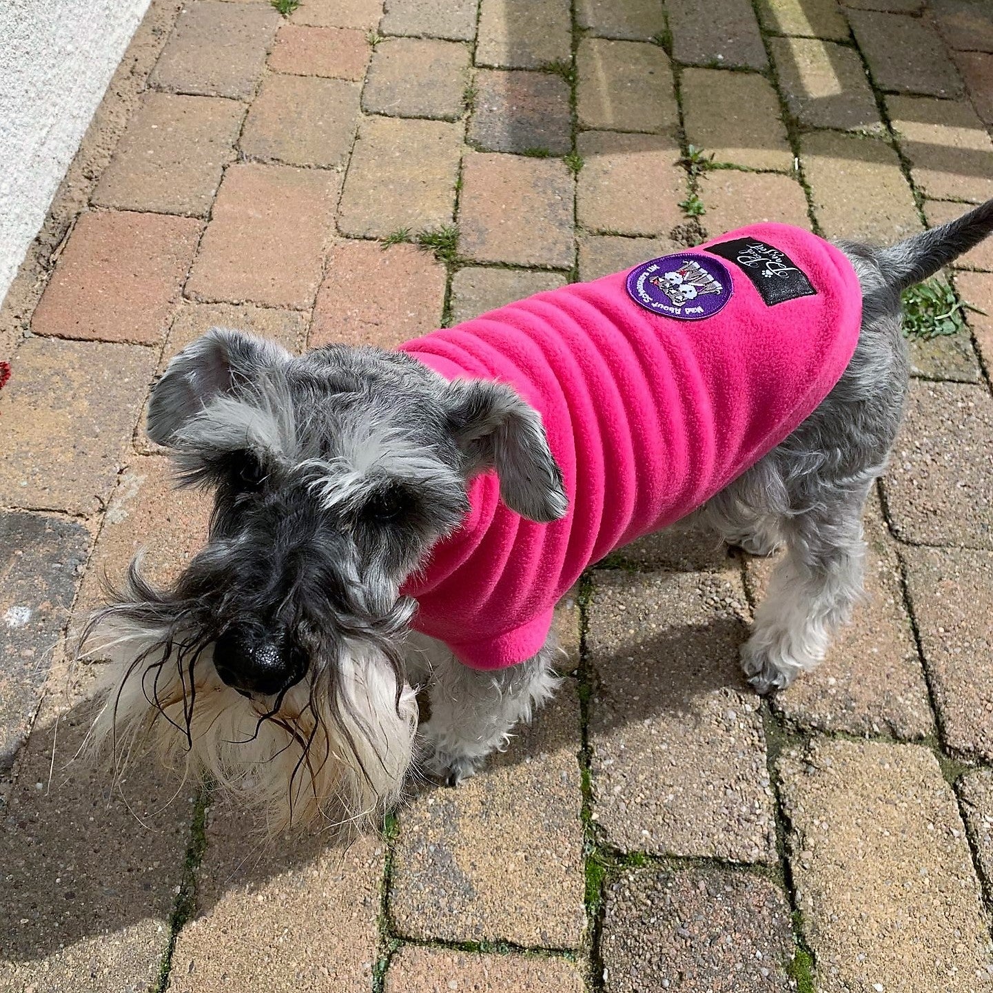 Mad About Schnauzers UK Fundraising Fleece Jumper