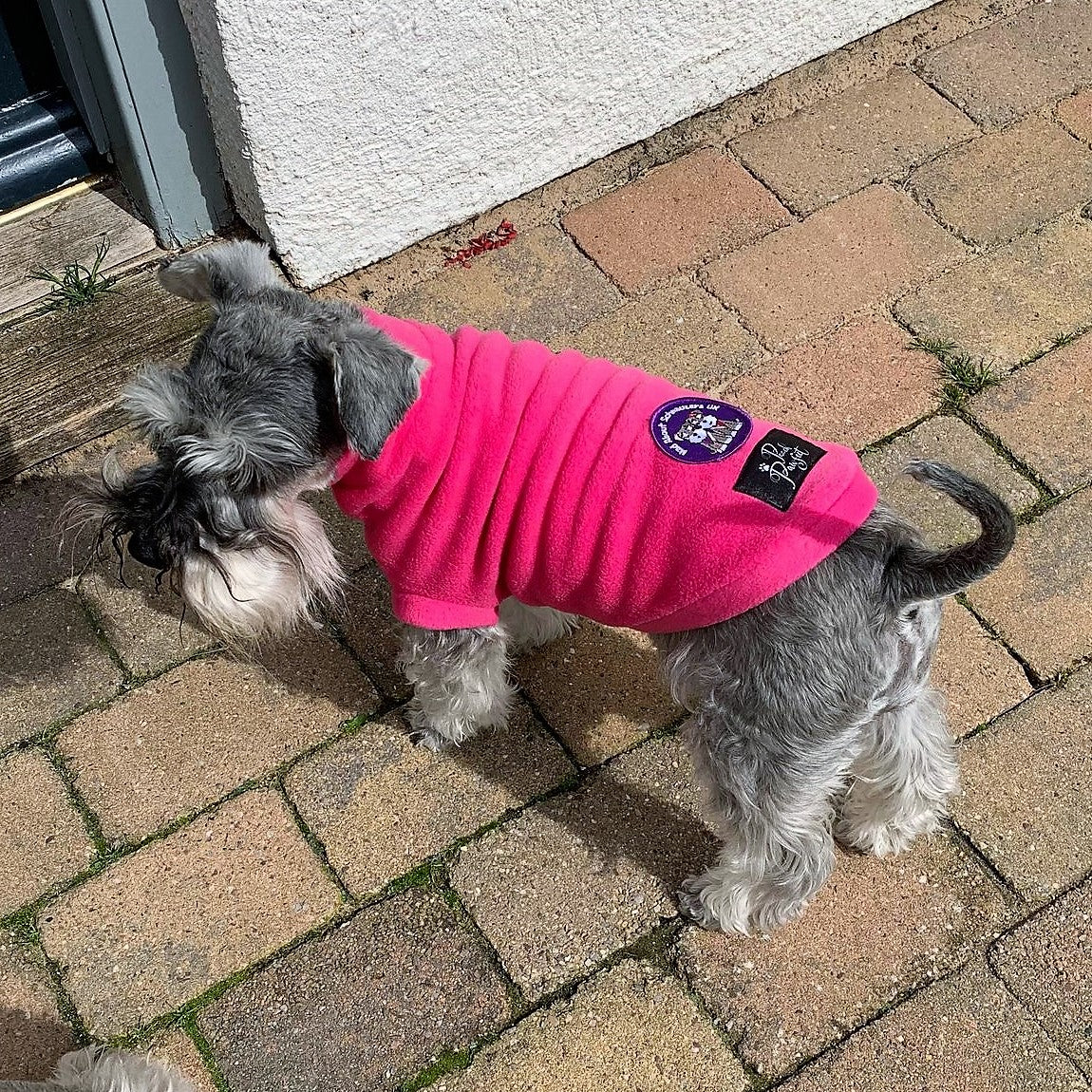 Mad About Schnauzers UK Fundraising Fleece Jumper
