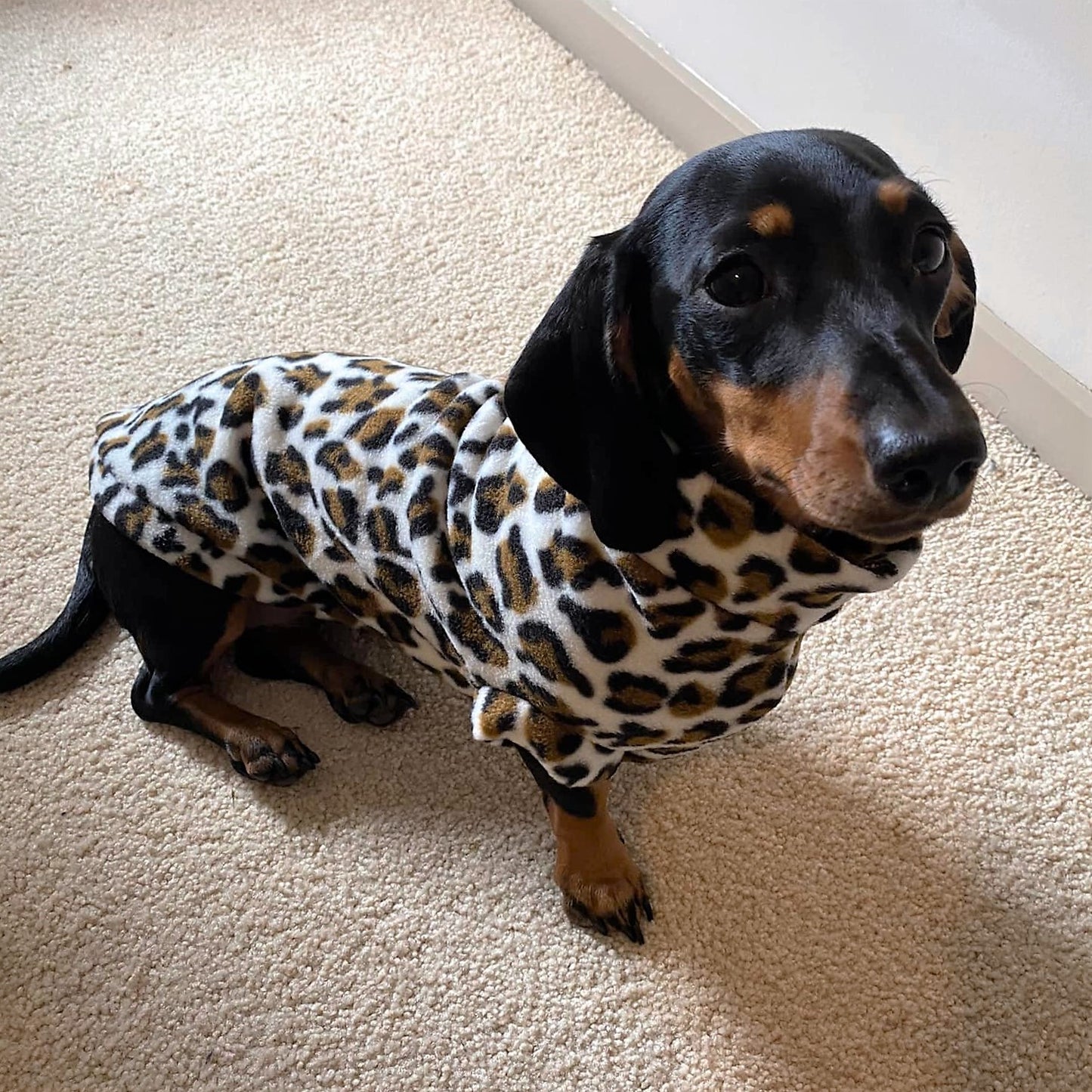 Animal Print Dachshund Fleece Jumper
