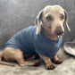 Bamboo Anti-Allergy and Cooling Dachshund T-Shirt