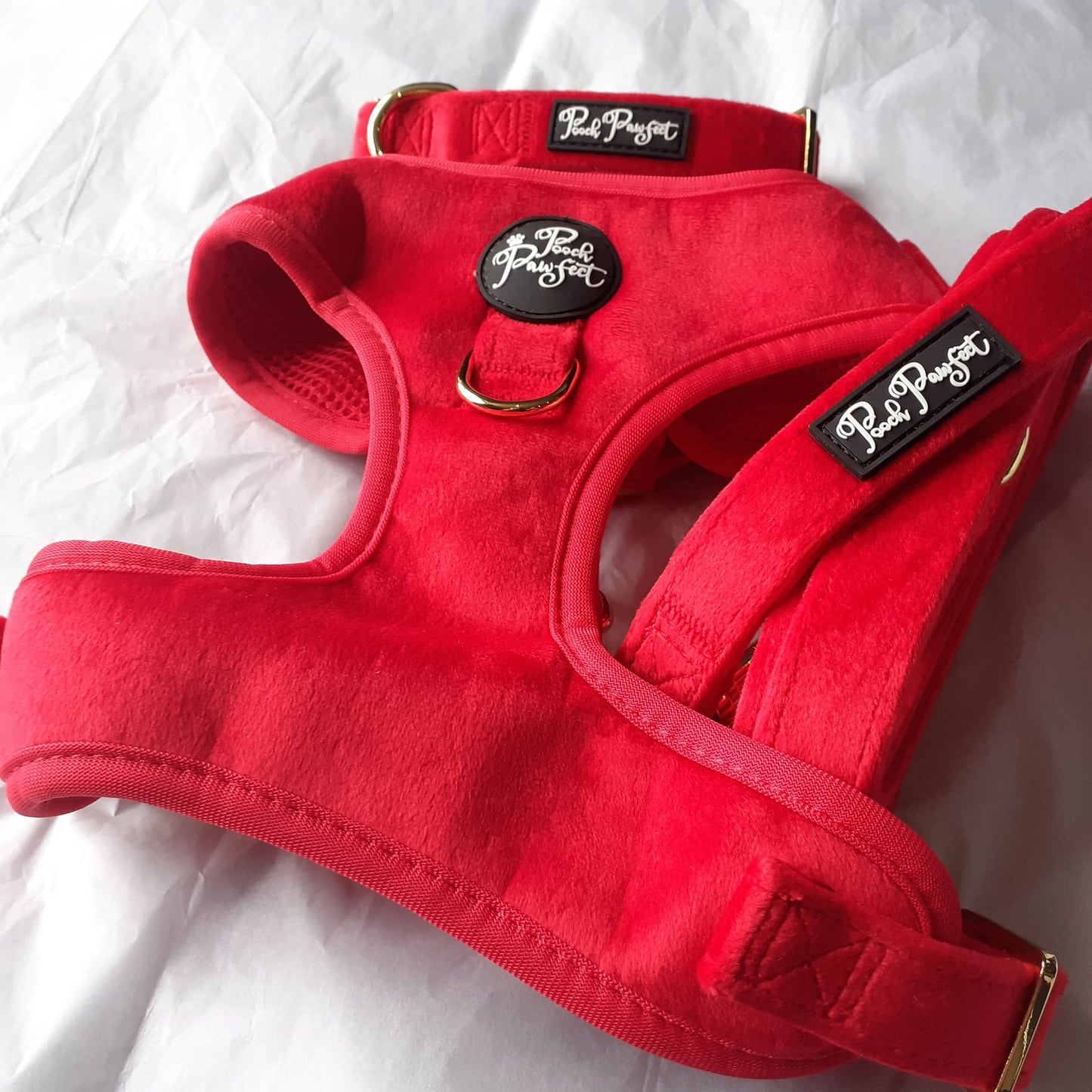Luxury Velvet Harness, Collar, Lead (Set)