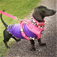 Luxury Velvet Harness, Collar, Lead (Set)