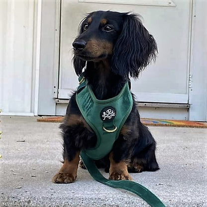 Luxury Velvet Harness, Collar, Lead (Set)