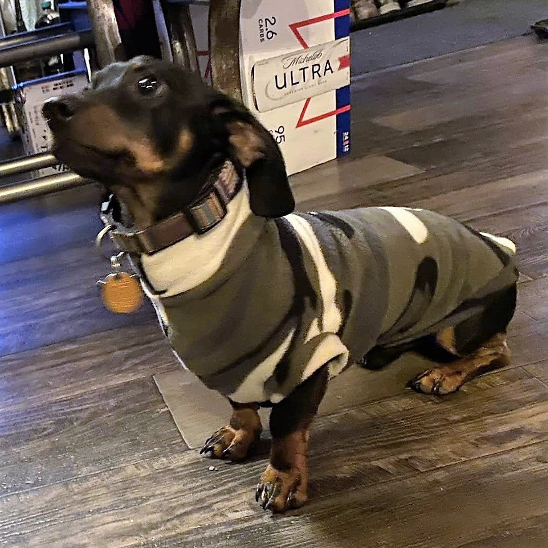 Camo Print Dachshund Fleece Jumper