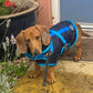 Waterproof Dachshund Raincoat