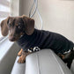 Leopard Print Trim Dachshund Fleece Jumper