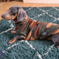 IVDD Zip-Up Dachshund Fleece Jumper