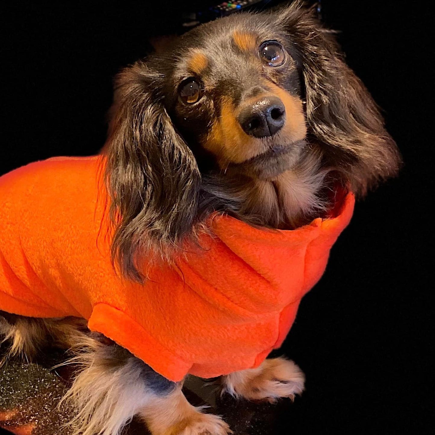 IVDD Zip-Up Dachshund Fleece Jumper
